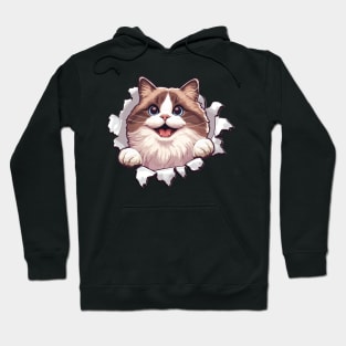 Funny Cut Out Cat Selfie Hoodie